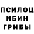 Псилоцибиновые грибы прущие грибы Norma Moncal