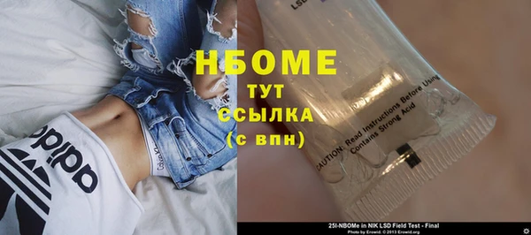 стафф Арсеньев