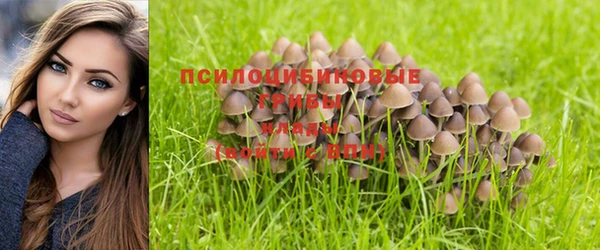 дживик Аркадак