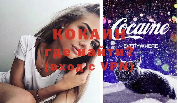 стафф Арсеньев