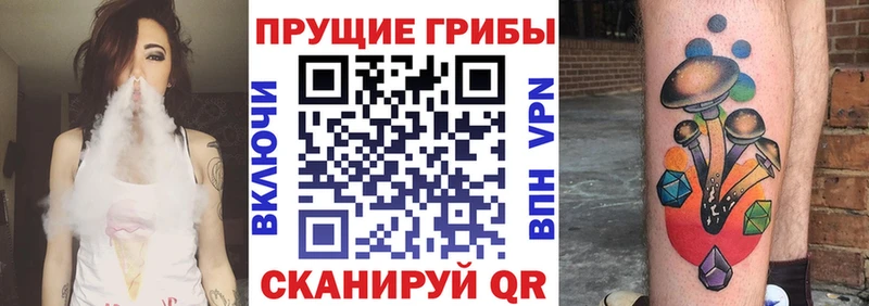 продажа наркотиков  mega вход  Псилоцибиновые грибы мицелий  Павловский Посад 