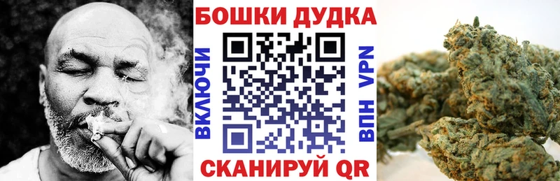 что такое   Павловский Посад  Шишки марихуана сатива 